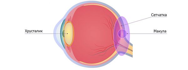 какое лечение при отслоении сетчатки глаза