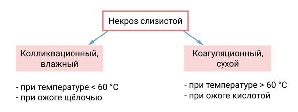 Виды некроза Виды некроза