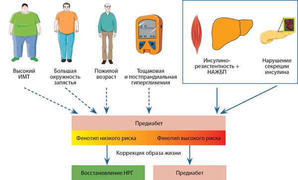 Факторы риска предиабета