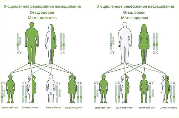 Пмк 1 степени фото