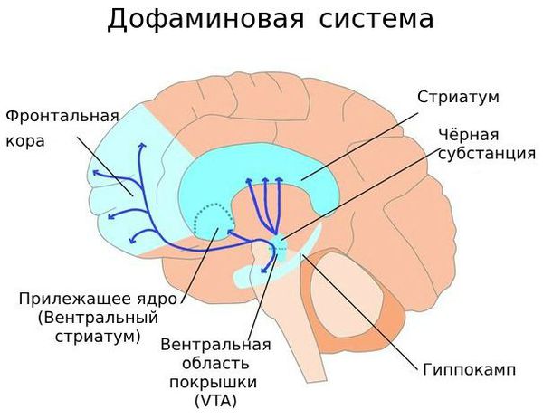 Хроническое бредовое расстройство - симптомы, диагностика и лечение | Клиника Корсаков