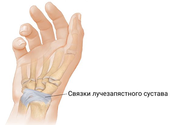 Коллаген в какое время суток лучше принимать. Смотреть фото Коллаген в какое время суток лучше принимать. Смотреть картинку Коллаген в какое время суток лучше принимать. Картинка про Коллаген в какое время суток лучше принимать. Фото Коллаген в какое время суток лучше принимать