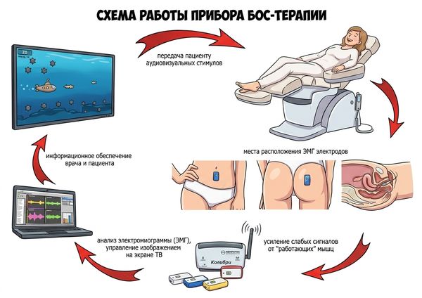 БОС-терапия