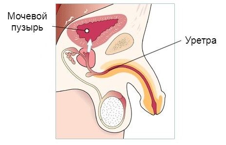 Выделения у мужчин
