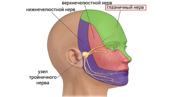 Глазничный нерв