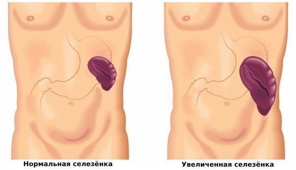 Вы точно человек?