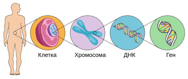 Нагера синдром фото