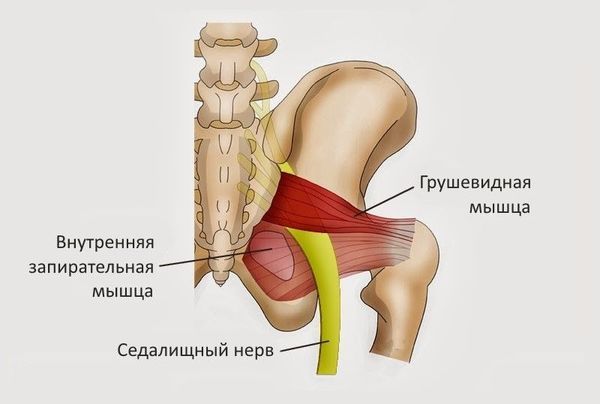 Место пересечения седалищного нерва и грушевидной мышцы