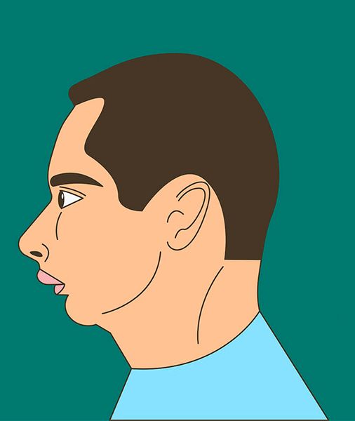 Птичий профиль