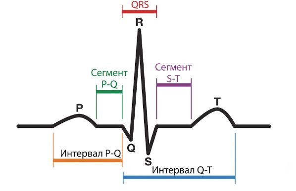Схема зубцов на ЭКГ Схема зубцов на ЭКГ