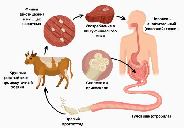 Ощущение инородного тела в анусе и в прямой кишке