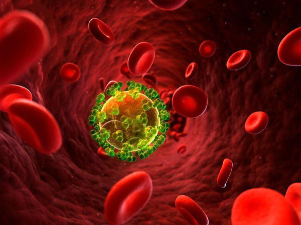 Вирус иммунодефицита человека в крови
