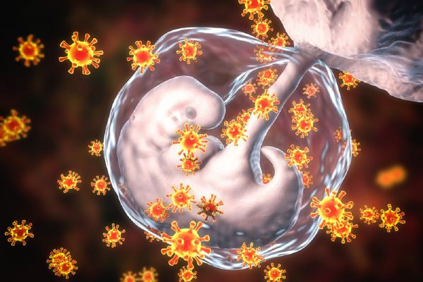Инфицирование эмбриона