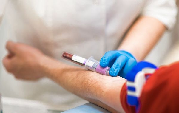 Для иммунограммы необходимо взять кровь из вены