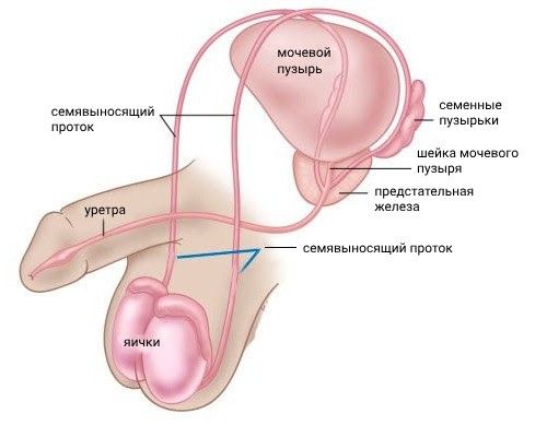 Побочные эффекты антидепрессантов: притупление эмоций, отеки, набор веса, снижение либидо