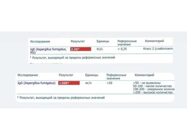 Результаты анализов Результаты анализов
