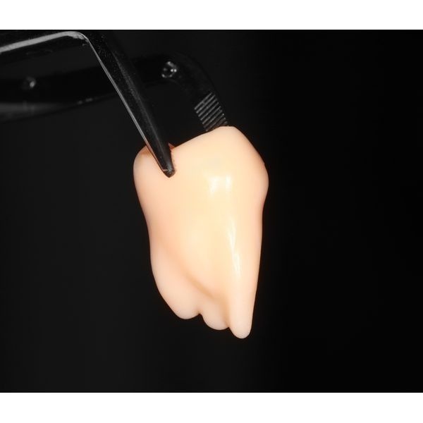 Модель из эпоксидной смолы